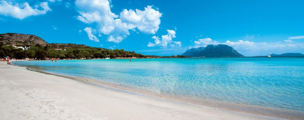 Appartamento Cisto Olbia Dış mekan fotoğraf